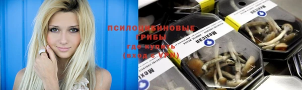 винт Балахна