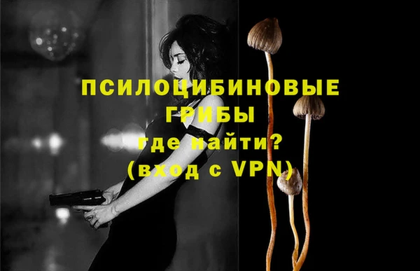 гидропоника Гусиноозёрск