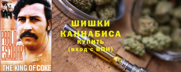 спайс Баксан