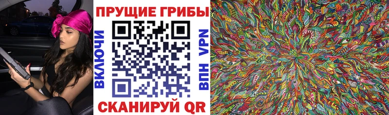 Псилоцибиновые грибы мицелий  как найти закладки  kraken   Новомосковск 