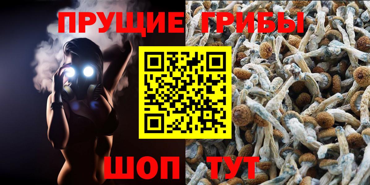 Псилоцибиновые грибы Psilocybine cubensis  Вход с VPN  Новомосковск 