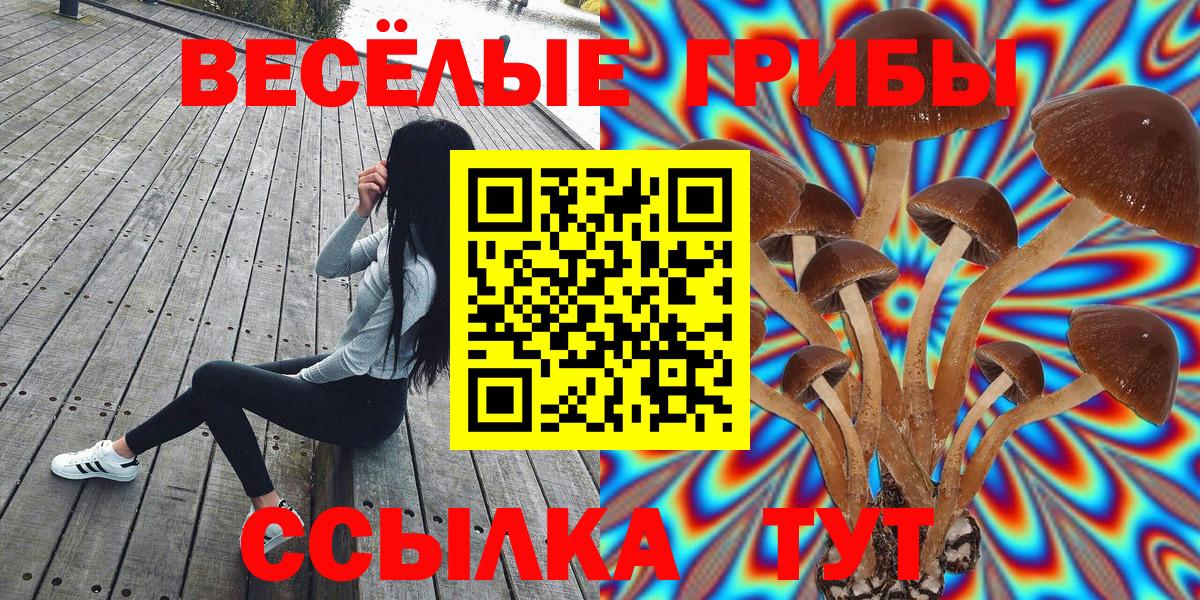 Псилоцибиновые грибы Cubensis Новомосковск
